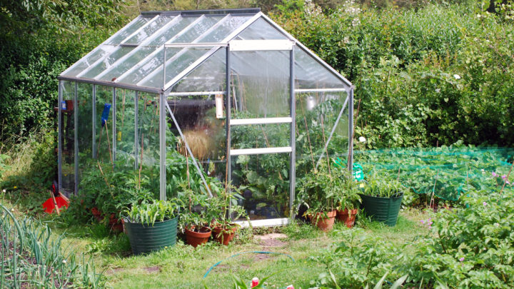 Découvrez tout ce qu’il faut savoir sur la serre de jardin en verre