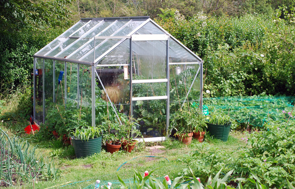 Découvrez tout ce qu’il faut savoir sur la serre de jardin en verre