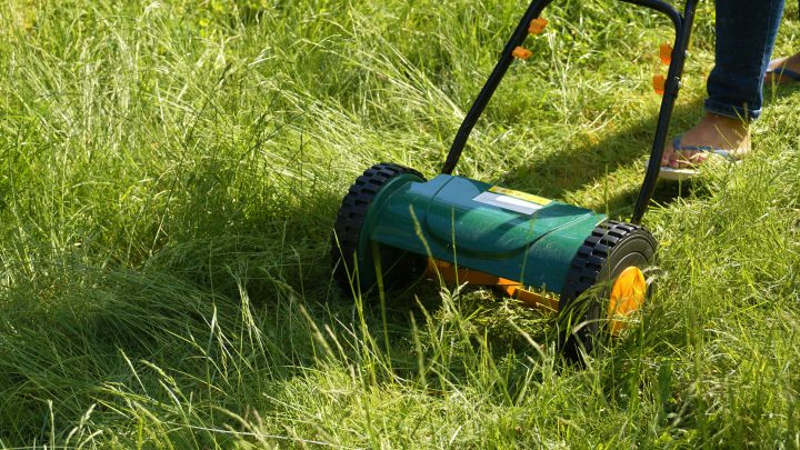 Les critères pour choisir une tondeuse à gazon maniable